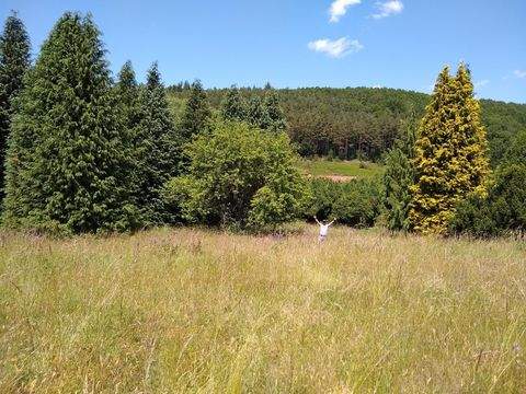 REYERSVILLER Renditeobjekte, Mehrfamilienhäuser, Geschäftshäuser, Kapitalanlage