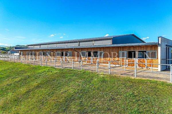 Lehner Immobilien Bild 75