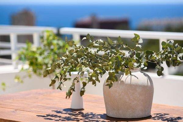 20250530 BARRANC-3.jpg