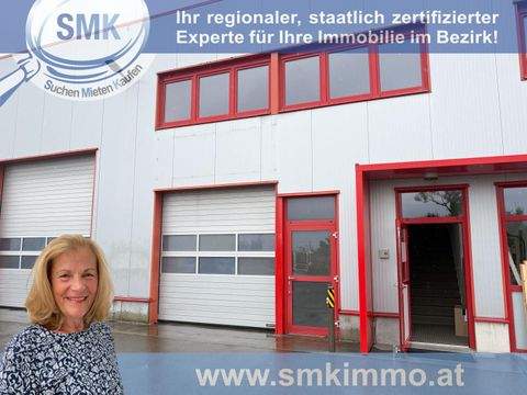 Trumau Halle, Trumau Hallenfläche