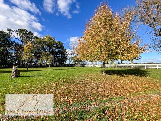 Wunderschönes Grundstück