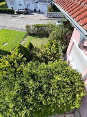 Garten 1
