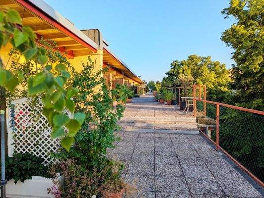Dachterrasse für alle Mieter-Eigentümer