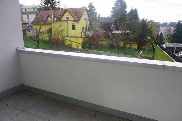 Grünblick vom Balkon