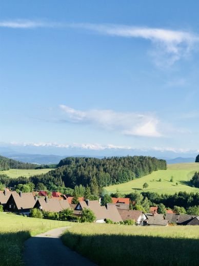 Herrischried Wohnungen, Herrischried Wohnung mieten