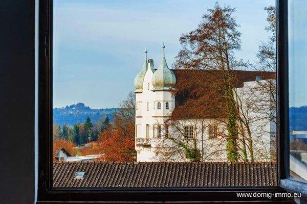 Blick zum Schloss Hofen