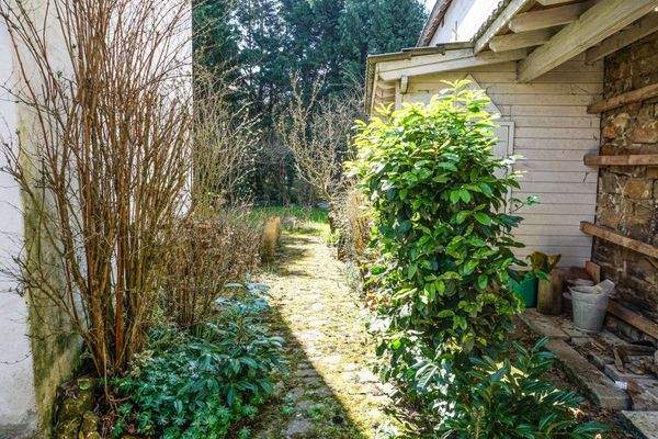 Seitlicher Weg zum Garten