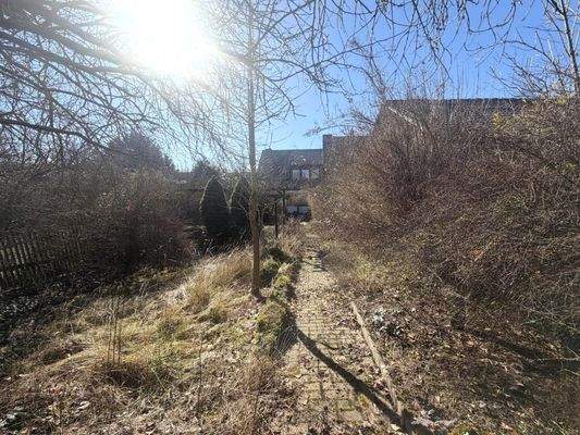 Garten mit Entwicklungspotential