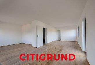 Wohn-/Esszimmer l Offene Küche