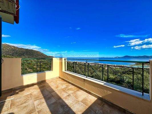 img_29ab4421-c6d4-42dc-99b9-93a416923428