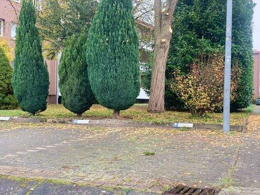 eigener PKW Stellplatz