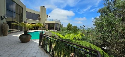 Knysna Häuser, Knysna Haus kaufen