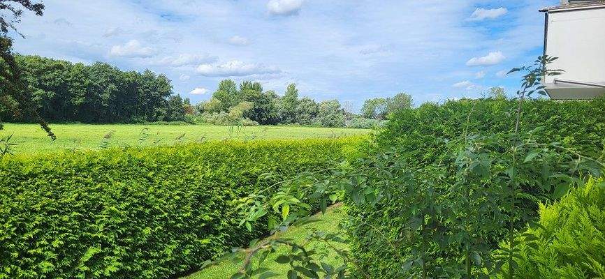 Blick aus dem Wohnzimmer