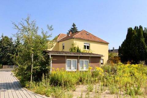 Dresden Häuser, Dresden Haus kaufen