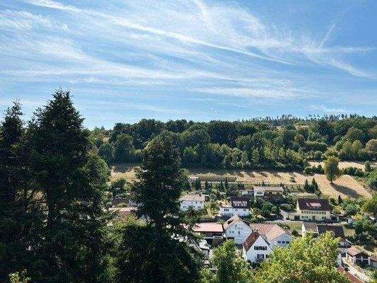 .. Blick übers Tal !