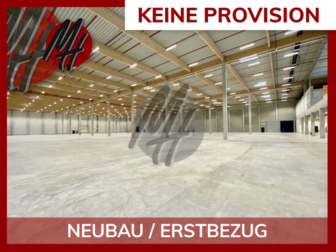 Bernau Halle, Bernau Hallenfläche