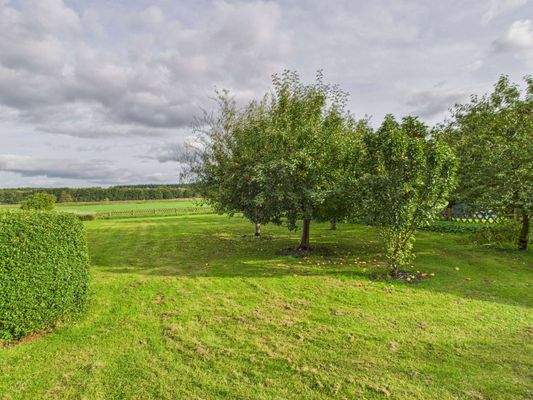 Garten mit Obstbäume 