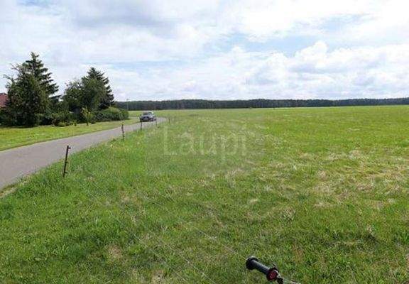 Grundstücksansicht im Sommer 10 - Ortsausgang