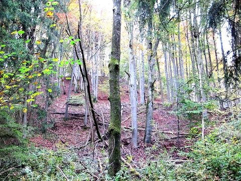 Kirchweidach / Neukirchen an der Alz Bauernhöfe, Landwirtschaft, Kirchweidach / Neukirchen an der Alz Forstwirtschaft