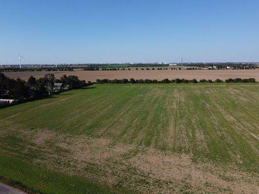 Land- und Fortwirtschaft