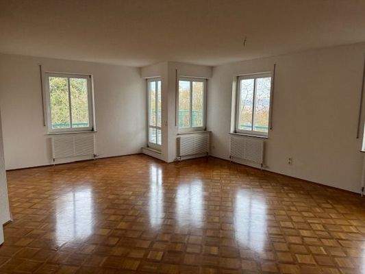 Wohnzimmer - neue moderne Heizkörper