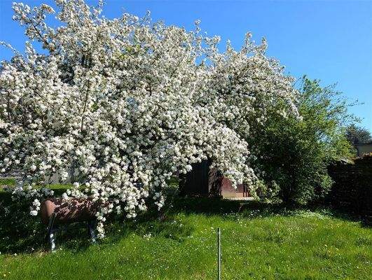 PXL_20250427_130046143