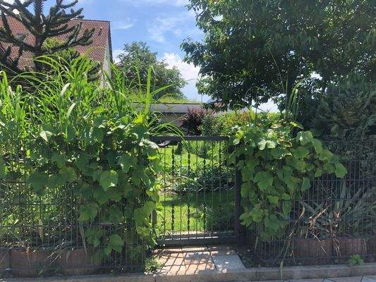 Außenanlage_Ansicht_6