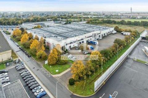 Grevenbroich Halle, Grevenbroich Hallenfläche