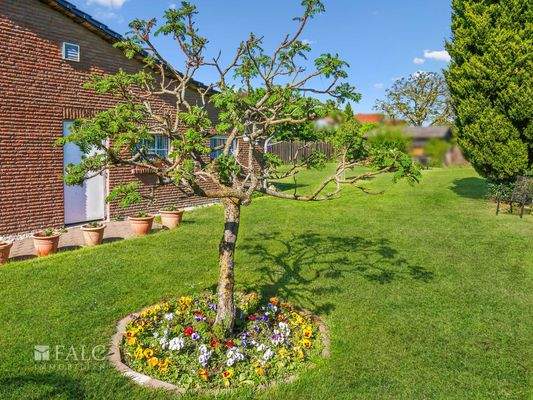 Gartenblick