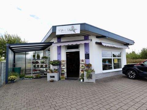 Dohr Ladenlokale, Ladenflächen 