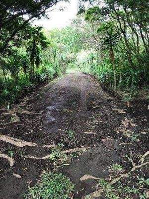 ImmoScout360 Zufahrt