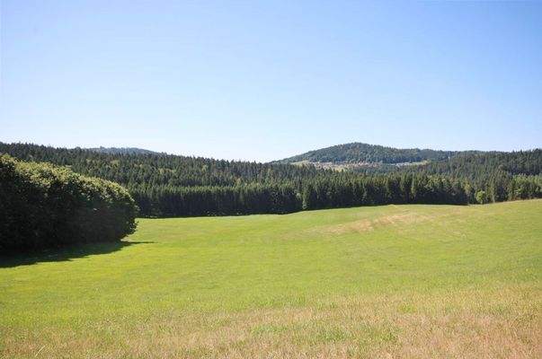 Blick auf das Grundstück