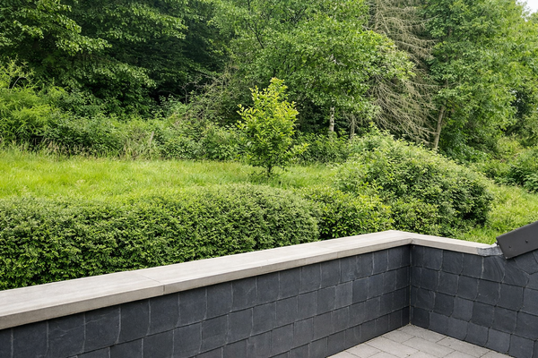 Grüne Terrasse mit Ausblick auf Wald (1).png