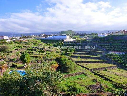 Weitläufiges Grundstück 