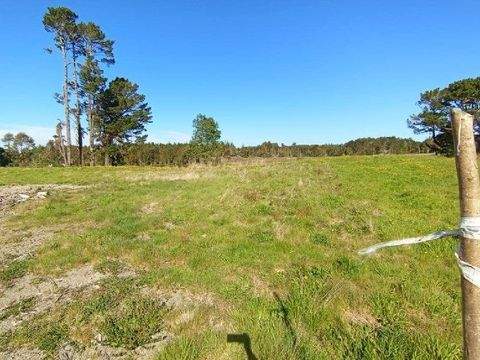 Ancud Büros, Büroräume, Büroflächen 