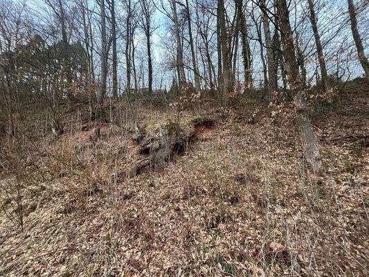 fc53405a-fb96-4fe3-a328-01b4aea37637 - Kopie.jpg