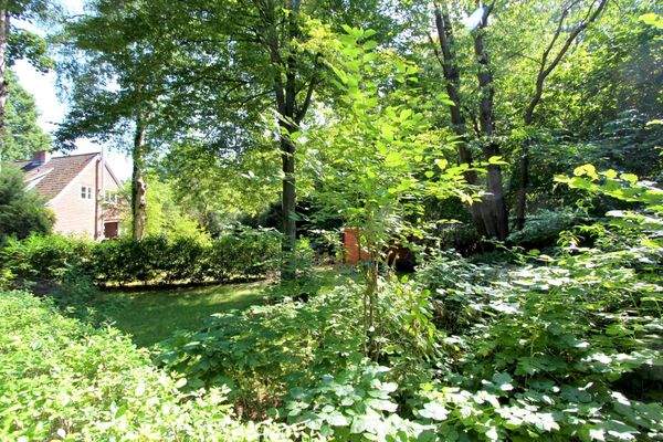 Linker Teil des Grundstücks