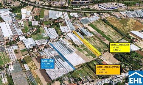 Wien Grundstücke, Wien Grundstück kaufen