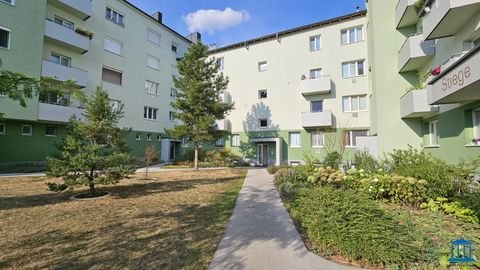 Wiener Neustadt Wohnungen, Wiener Neustadt Wohnung kaufen