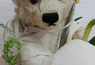 Kinderarztpraxis oder Hausarzt