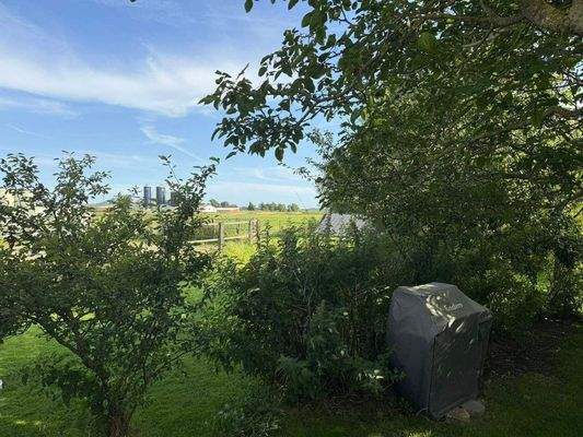 Garten + Longier Platz