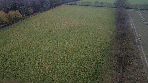 Telgte-Westbevern Bauernhöfe, Landwirtschaft, Telgte-Westbevern Forstwirtschaft