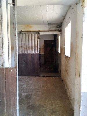 Pferdebox links_Zugang