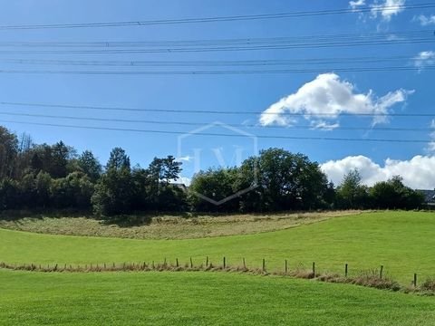 Engelskirchen Bauernhöfe, Landwirtschaft, Engelskirchen Forstwirtschaft