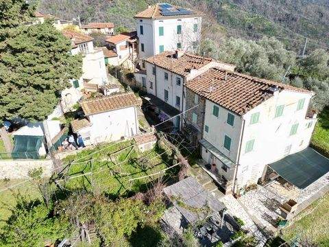 Massarosa - Pieve a Elici Häuser, Massarosa - Pieve a Elici Haus kaufen