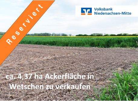 Wetschen Bauernhöfe, Landwirtschaft, Wetschen Forstwirtschaft