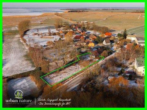 Saal Häuser, Saal Haus kaufen