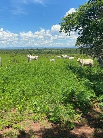 Cuiaba Grundstücke, Cuiaba Grundstück kaufen