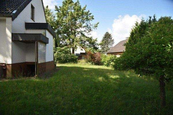 Sonniger Garten mit Altbestand