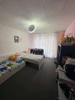 WhatsApp Image 2026-02-13 at 12.02.34 (7).jpeg